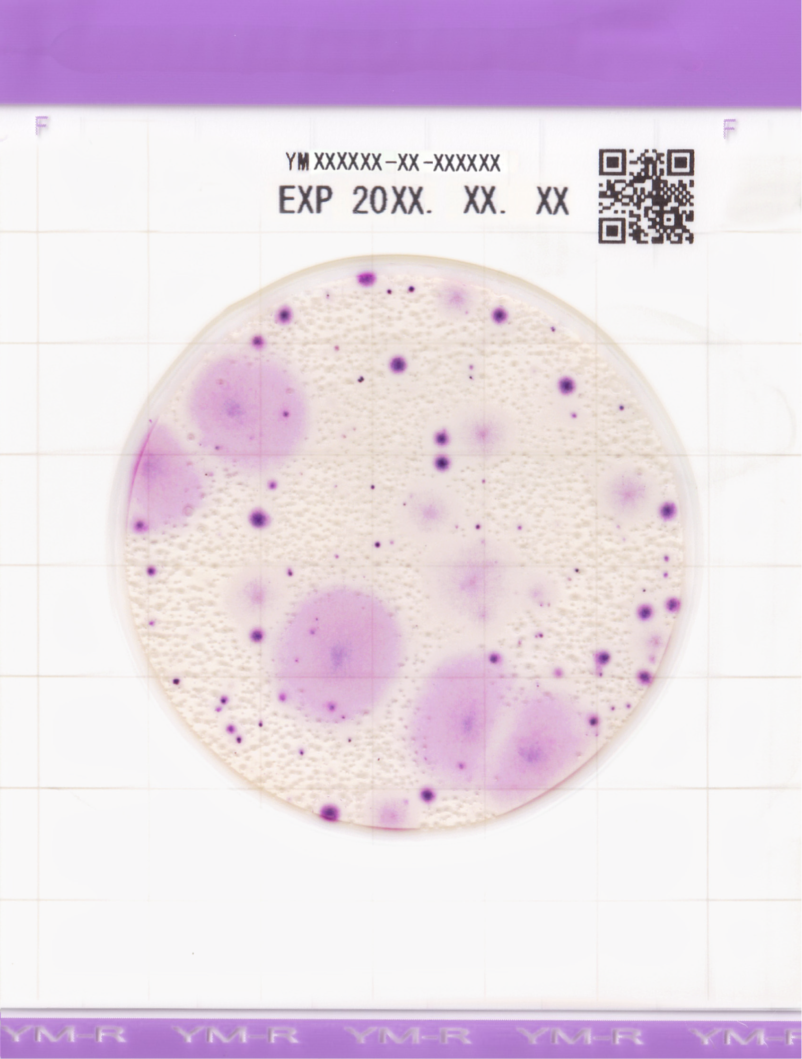 Easy Plate YM-R｜Test kit ❘ Kikkoman Biochemifa Company